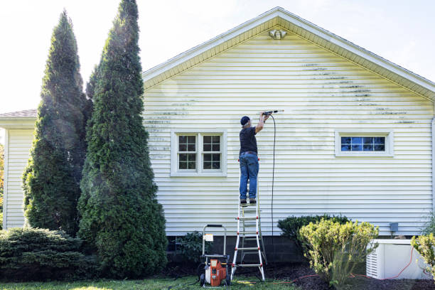 Best Sidewalk and Walkway Cleaning  in Poynette, WI
